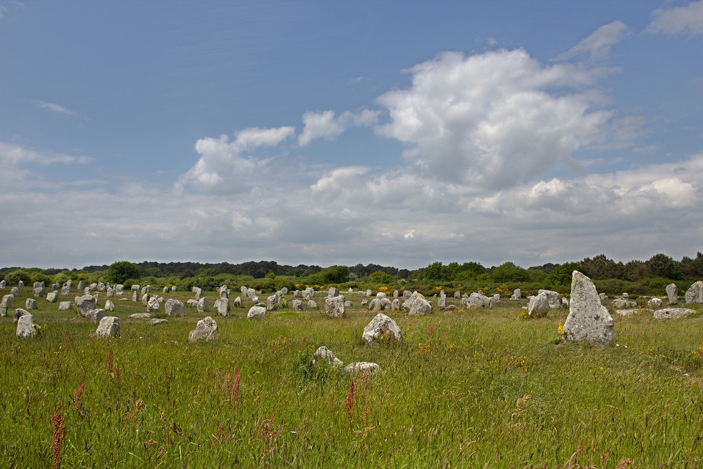 Megalithes megalieten megaliet carnac monteneuf champ dolent bretagne france frankrijk menhir obelix hdr menhirs morbihan asterix